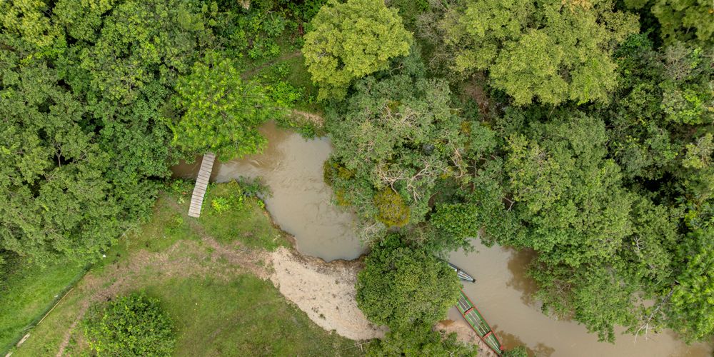 Aerial view of a portion of the Colombian Amazon. 