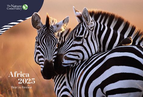 Two plains zebras featured on the cover of the 2025 Africa Year in Review.
