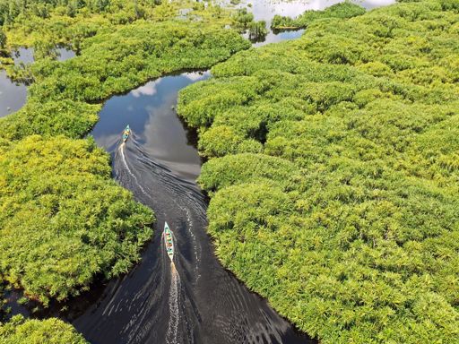 aerial view of a black river with two small motor boats snaking through a tropical forest