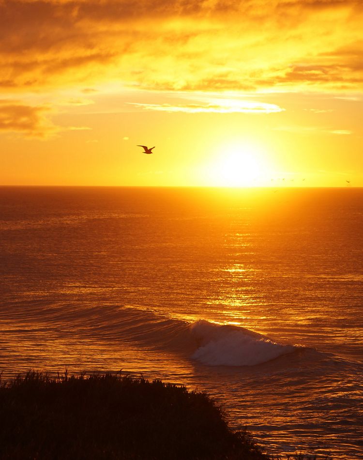 The sun over a body of water.