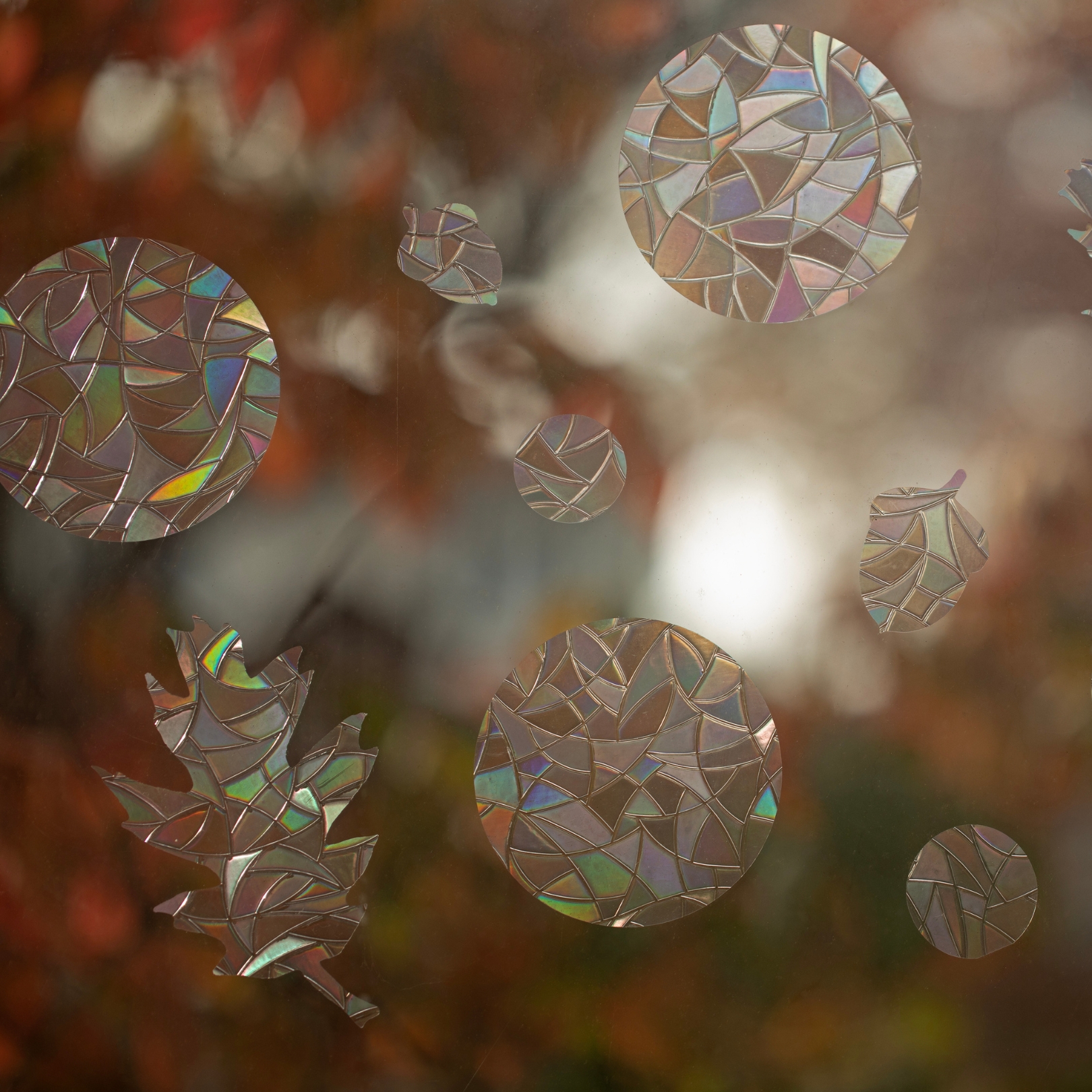 Closeup of decals placed on a window to help stop birds from colliding into it. 