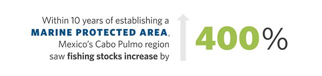 Text on a graphic that states that within 10 years of establishing a marine protected area, Mexico’s Cabo Pulmo region saw fishing stocks increase by 400 percent. The text is accompanied by an arrow pointing up, indicating growth.