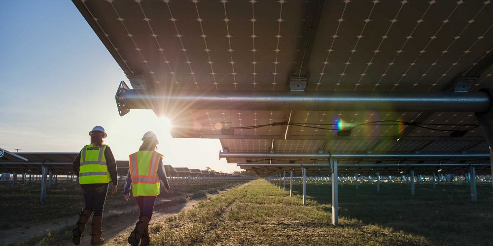 workers walking beneath solar panels.