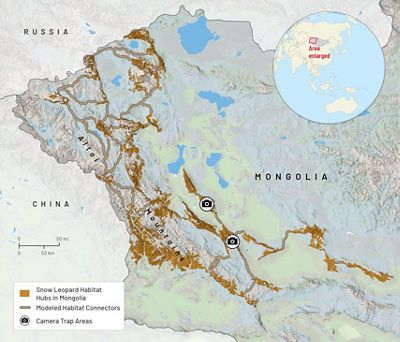 A map of Mongolia showing snow leopard habitat in the western edge of the country.