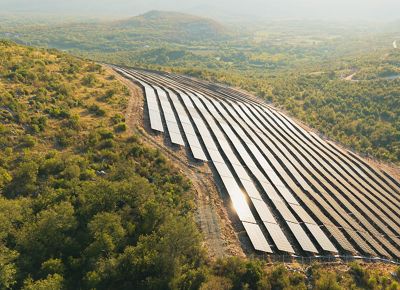 solar panels on vegetation-covered hillside.