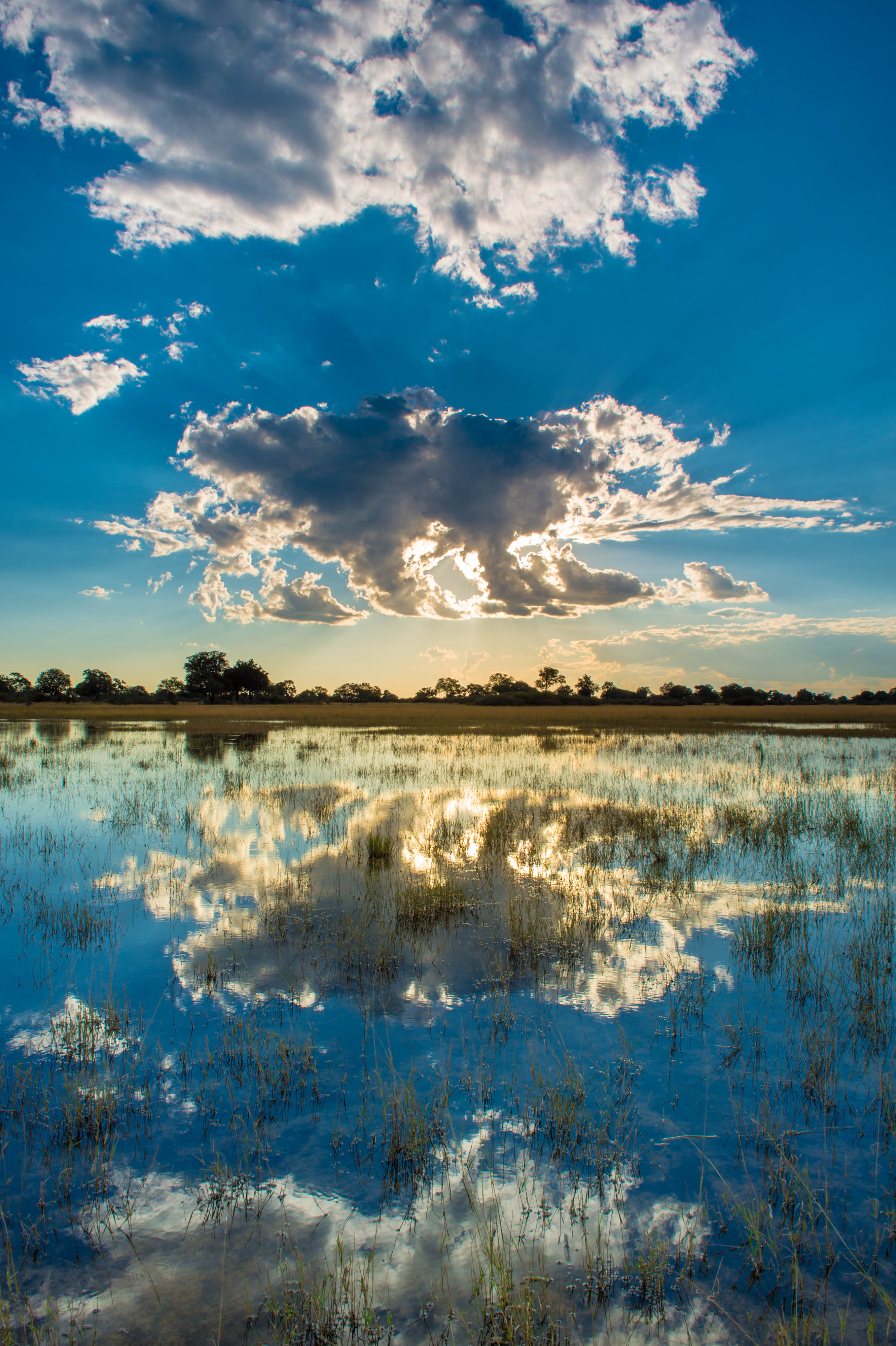 sunlight shines on water in okavango basin.