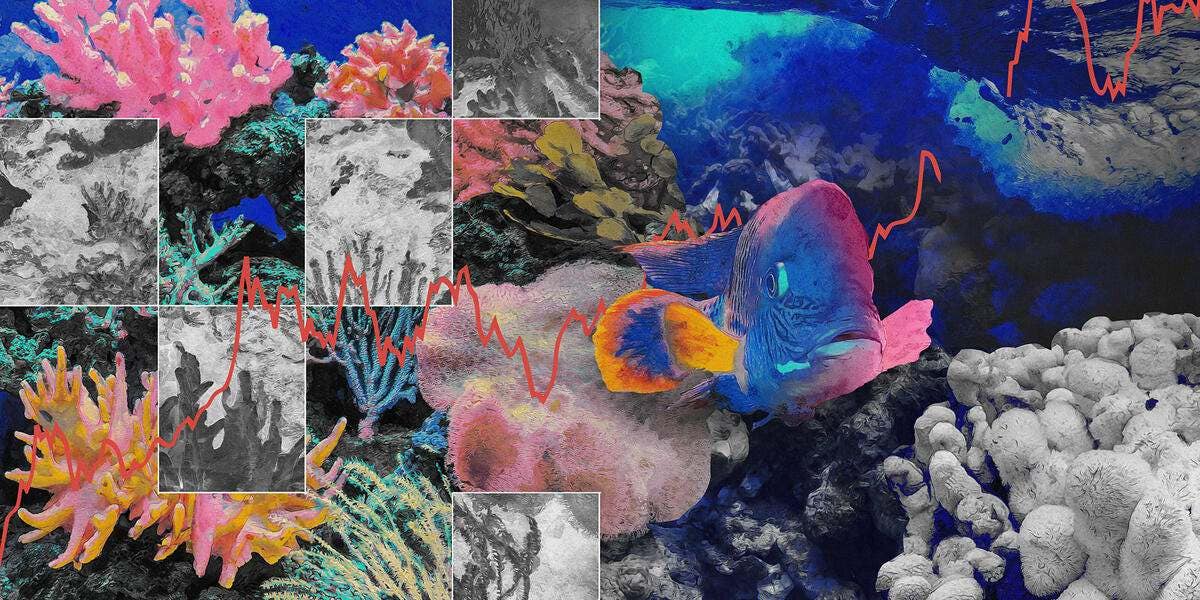 A photo collage depicts a vibrant coral reef interspersed with photos of coral bleaching.