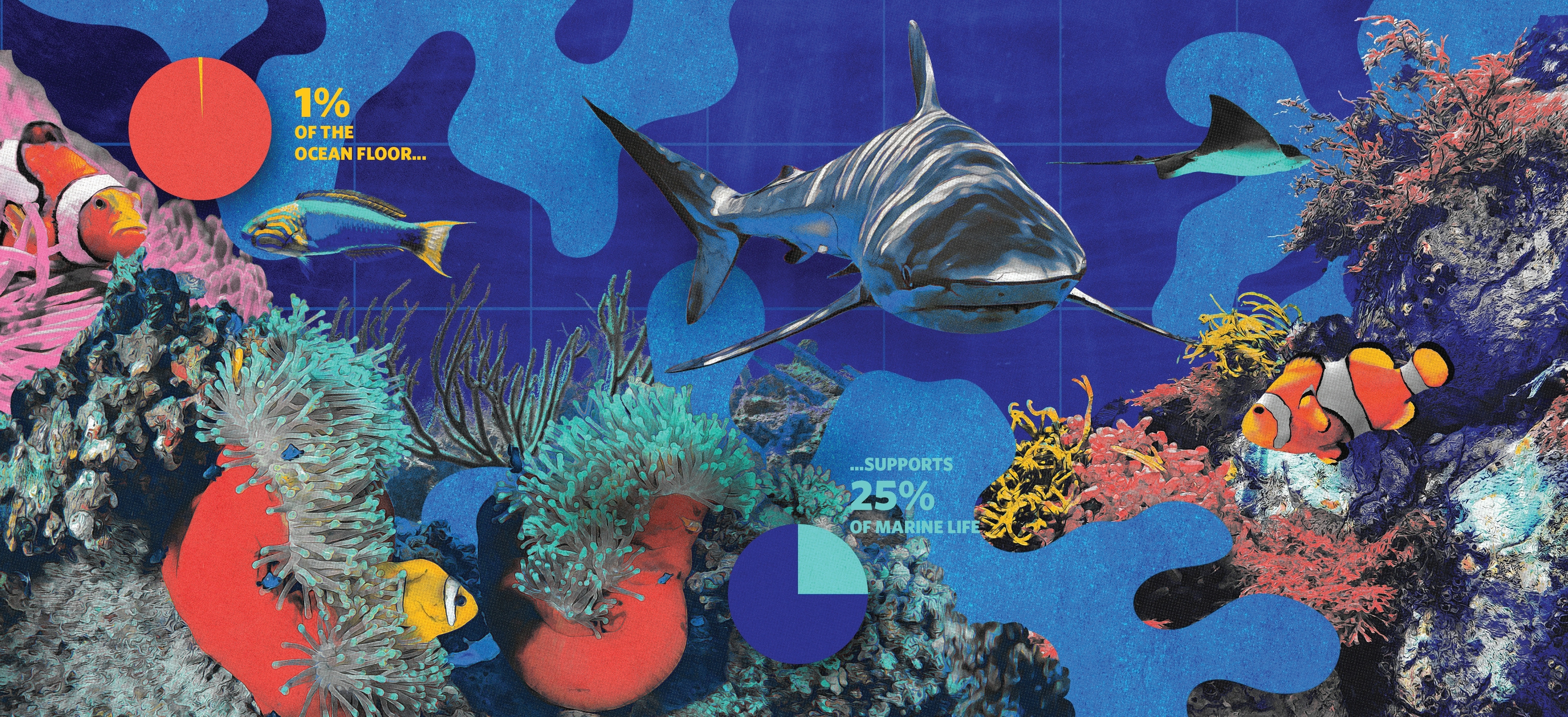 A collage of a vibrant coral reef is accompanied by charts showing their importance. The charts indicate that corals cover just 1 percent of the ocean floor but support 25 percent of marine life.
