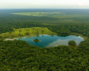 A body of water is surrounded by a vast forest in Belize.