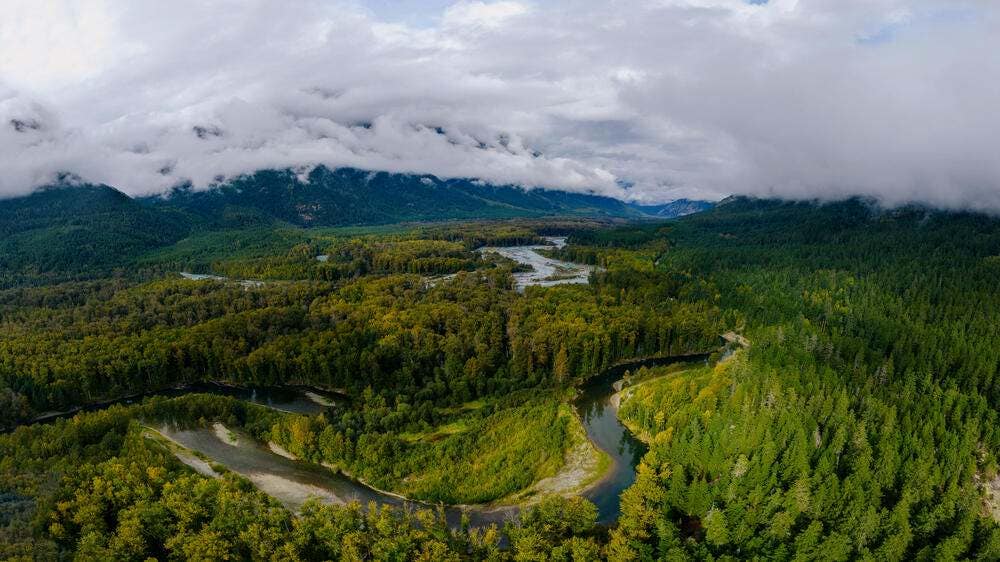 The Atnarko River, a tributary of the Bella Coola River, in Bella Coola, Canada.