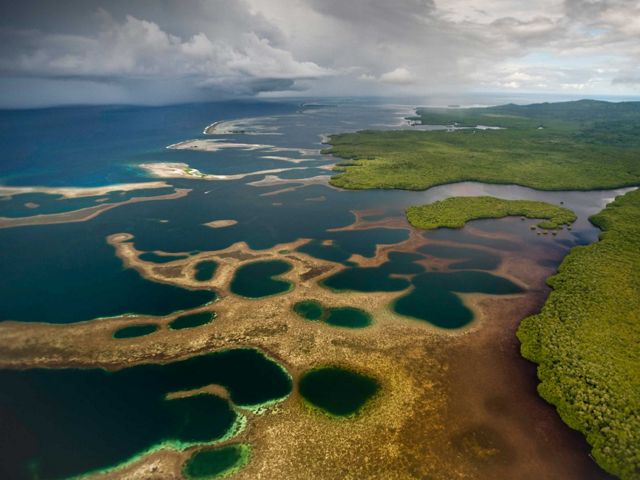aerial view of mangroves.