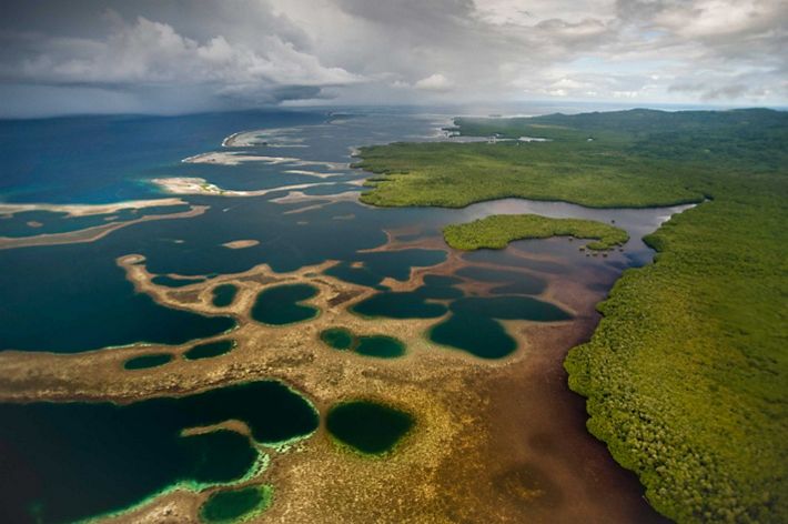 aerial view of mangroves.