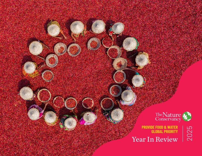 Cover of the 2025 year in review report.