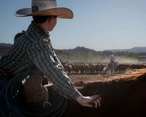 A boy in a cowboy hat sits astride a horse watching another cowboy herd cattle.