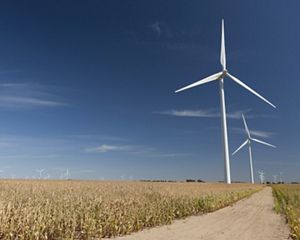 Photo of wind turbines.