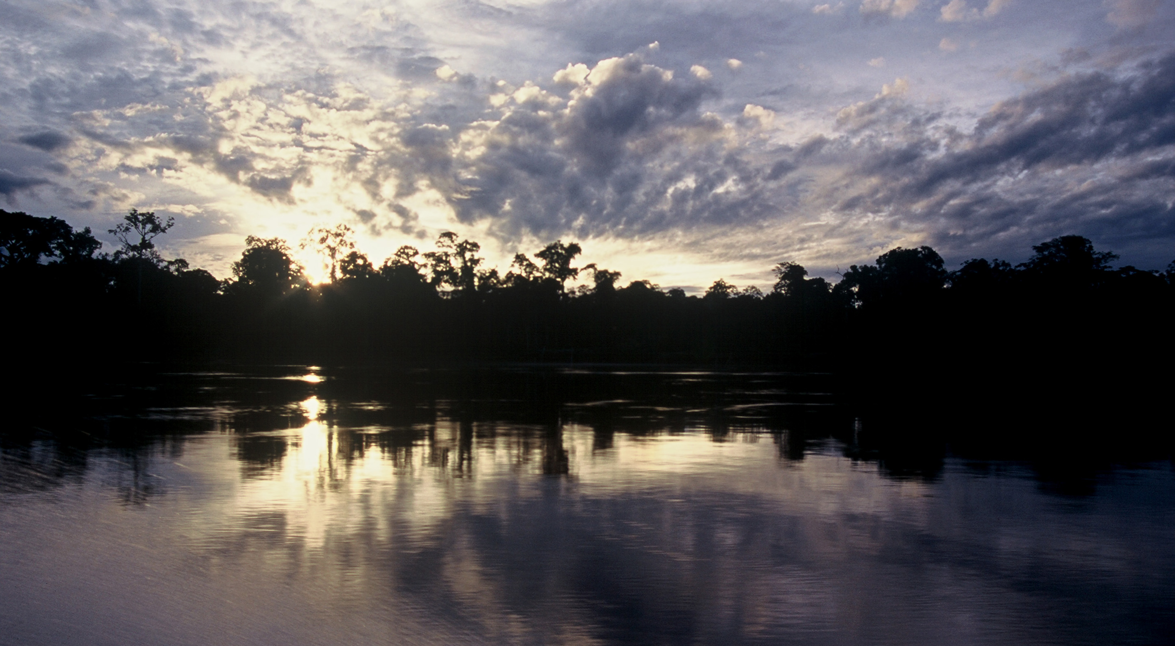 Pacaya-Samiria Reserve, Peru.