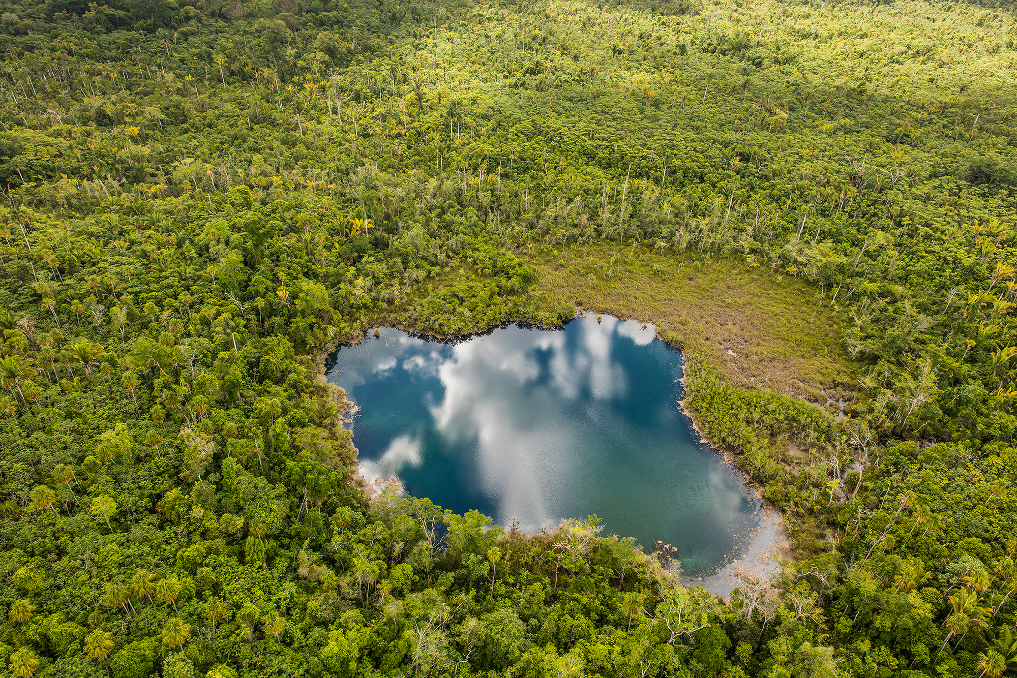 An aerial view of tropical forest and a blue water.