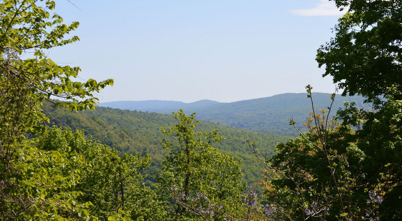 View of green, forested mountains.