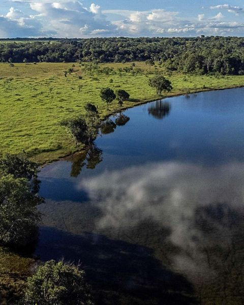Aerial view of Manacacías National Park in Colombia. 