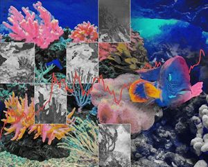 A photo collage depicts a vibrant coral reef interspersed with photos of coral bleaching.