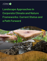 This report explores how aligning corporate sustainability with landscape-scale efforts and climate standards can better connect businesses to the ecosystems they depend on.